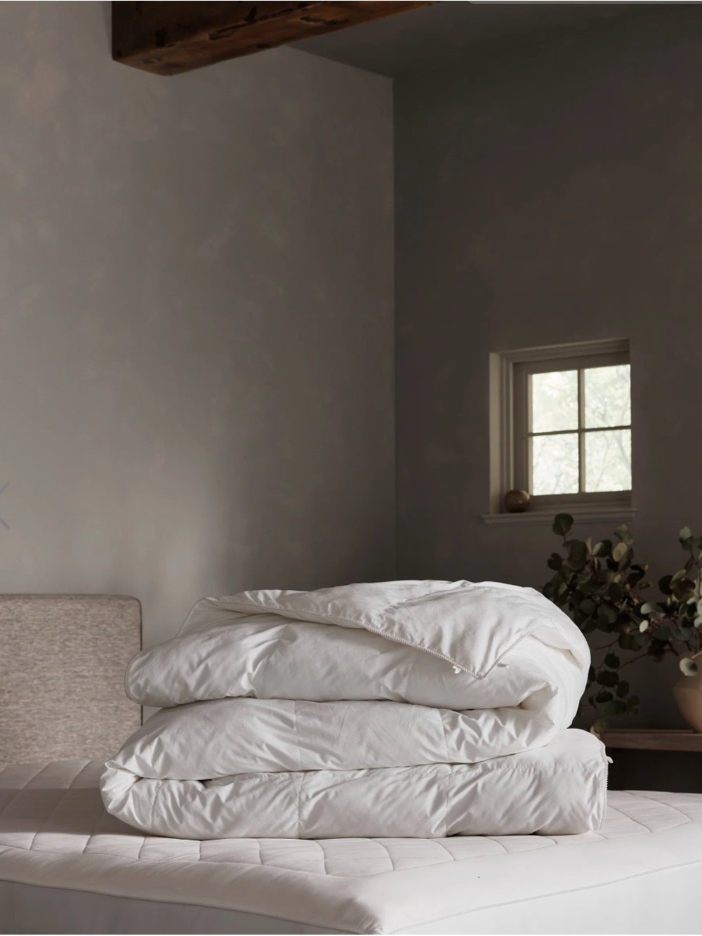 Plush White Down-Alternative Comforter - Soft White